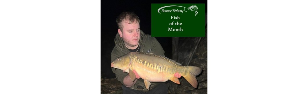 Fish of the Month January